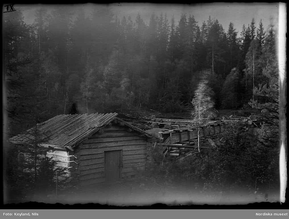 Finnskogen – skogsfinnarnas land och ett språk som försvann